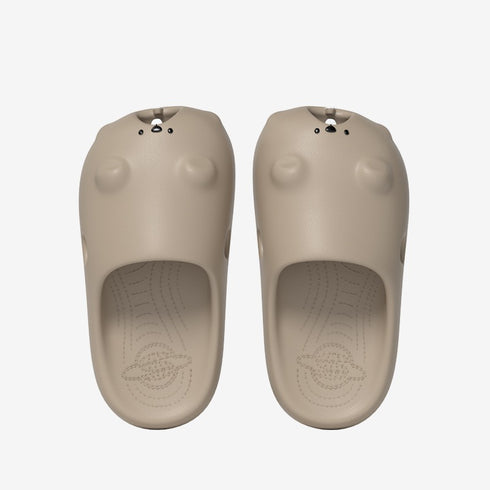 Gopher Slides